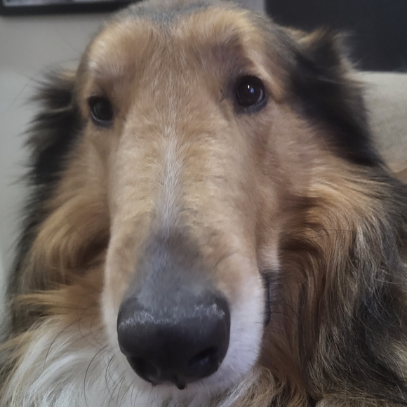 PLSreadBEFOREbuying! - Picture 13 of 16